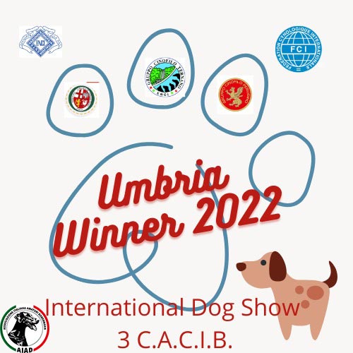 Umbria Winner 2022- Speciale di Razza