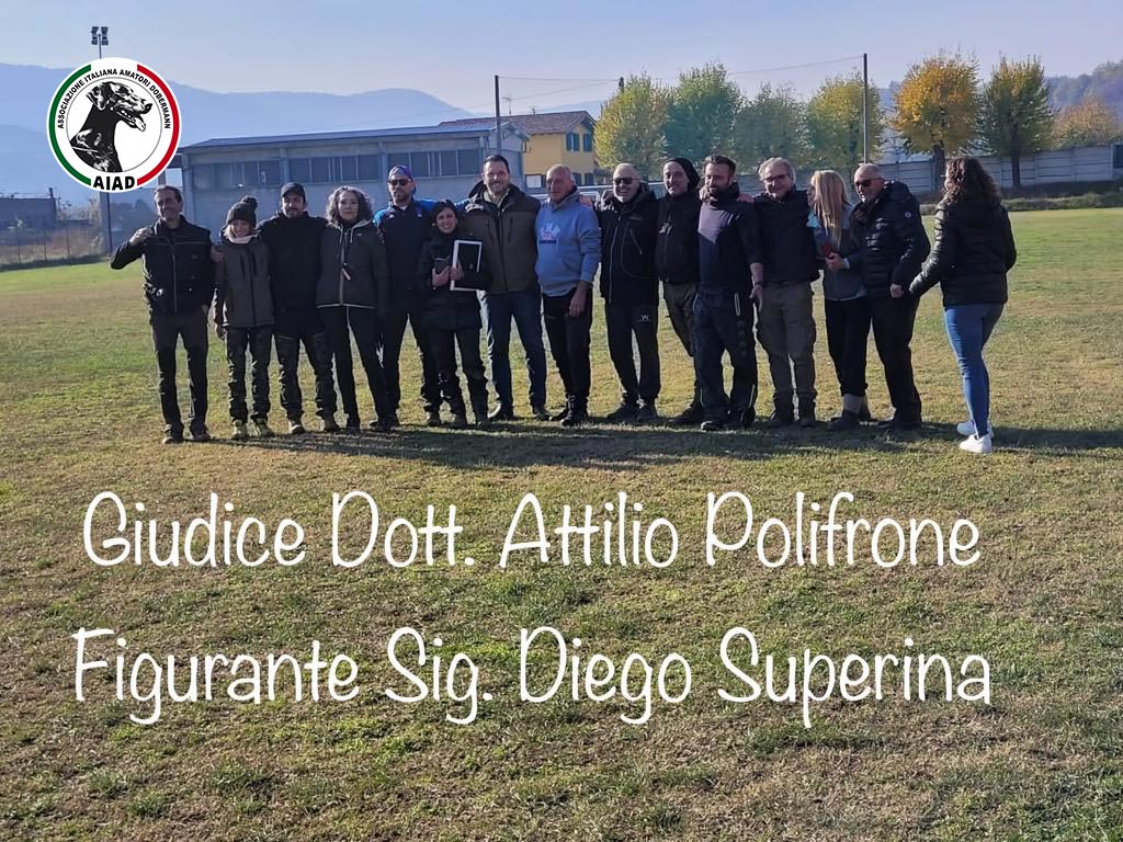 Ztp Aiad La Superba